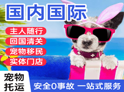 萨尔图机场快递国际宠物托运 【国